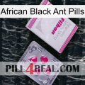 African Black Ant Pills 32